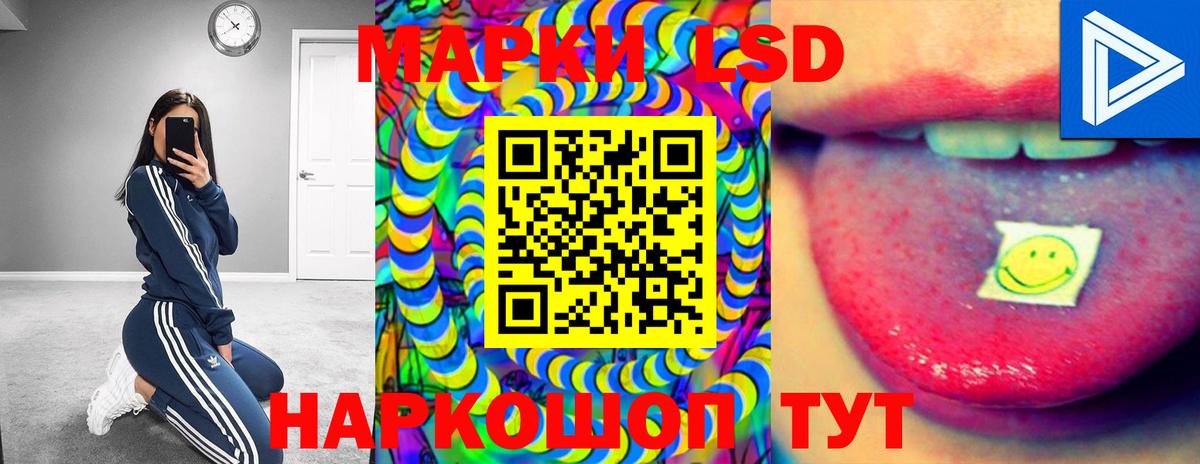 Лсд 25 экстази ecstasy  Вход с VPN  Заринск  ЛСД экстази ecstasy 