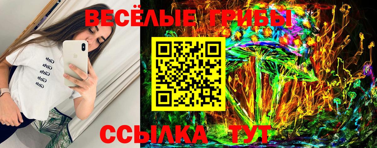 Галлюциногенные грибы Cubensis Заринск