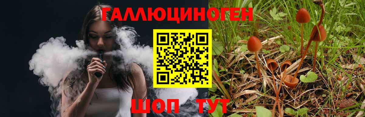 Псилоцибиновые грибы Psilocybe  Вход с VPN  Заринск  Псилоцибиновые грибы ЛСД 